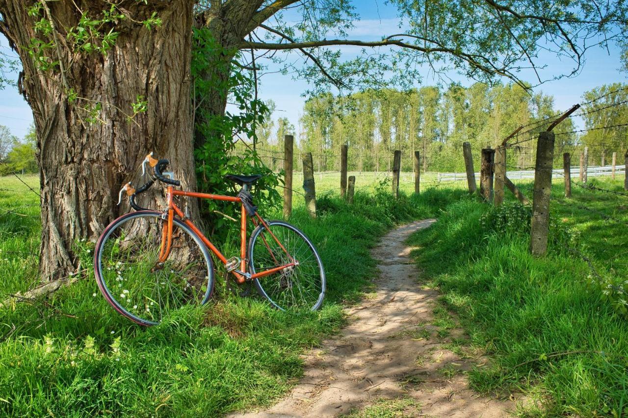 Larbrenville Gites Citadins En Centre-Ville Historique La Charité-sur-Loire Exteriör bild